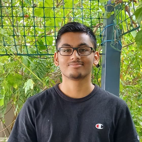 Dennis, tutor offering online and in-person lessons at KIS Academics